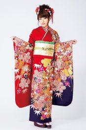 左右の袖の色が違うめずらしい振袖