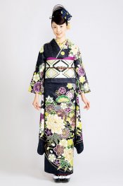 シックな黒色地で優雅な印象の振袖です。